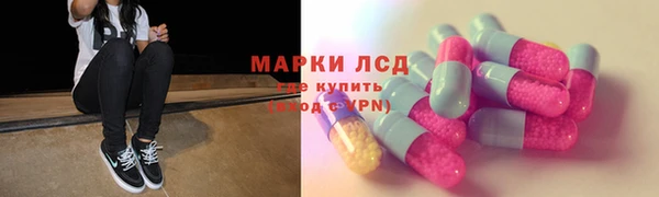 ECSTASY Богородицк