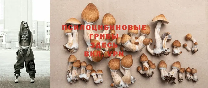 продажа наркотиков  Татарск  Галлюциногенные грибы MAGIC MUSHROOMS 